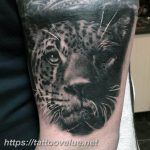 Photo tattoo cheetah 22.01.2019 №240 - tattoo cheetah example of drawing - tattoovalue.net