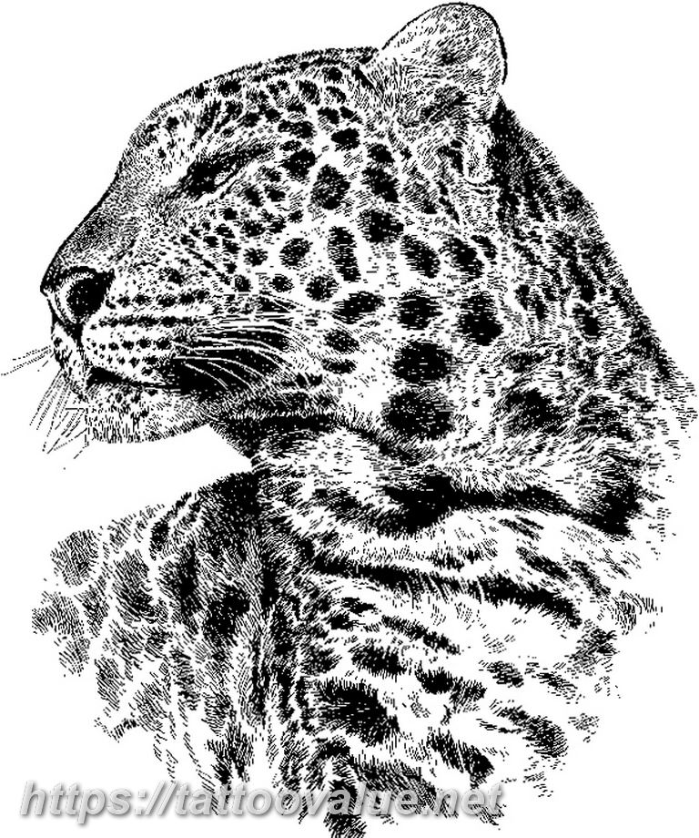 Photo tattoo cheetah 22.01.2019 №241 - tattoo cheetah example of drawing - tattoovalue.net