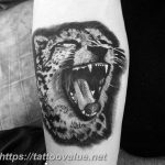 Photo tattoo cheetah 22.01.2019 №242 - tattoo cheetah example of drawing - tattoovalue.net