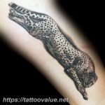 Photo tattoo cheetah 22.01.2019 №246 - tattoo cheetah example of drawing - tattoovalue.net