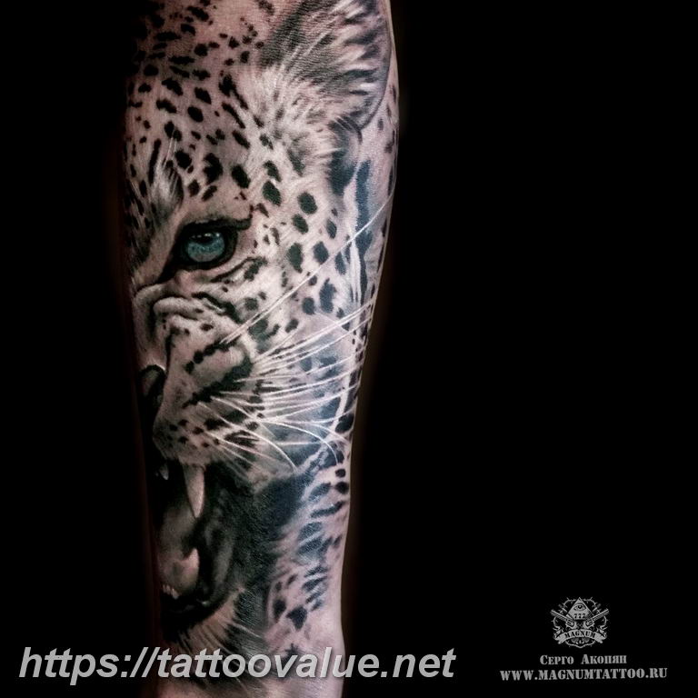 Photo tattoo cheetah 22.01.2019 №252 - tattoo cheetah example of drawing - tattoovalue.net