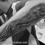 Photo tattoo cheetah 22.01.2019 №256 - tattoo cheetah example of drawing - tattoovalue.net