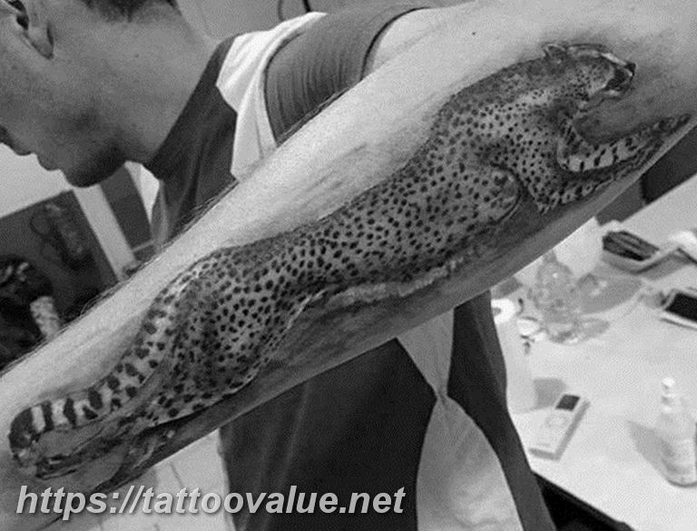 Photo tattoo cheetah 22.01.2019 №256 - tattoo cheetah example of drawing - tattoovalue.net