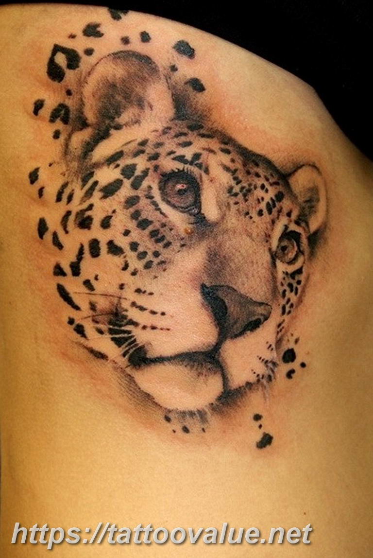 Photo tattoo cheetah 22.01.2019 №257 - tattoo cheetah example of drawing - tattoovalue.net