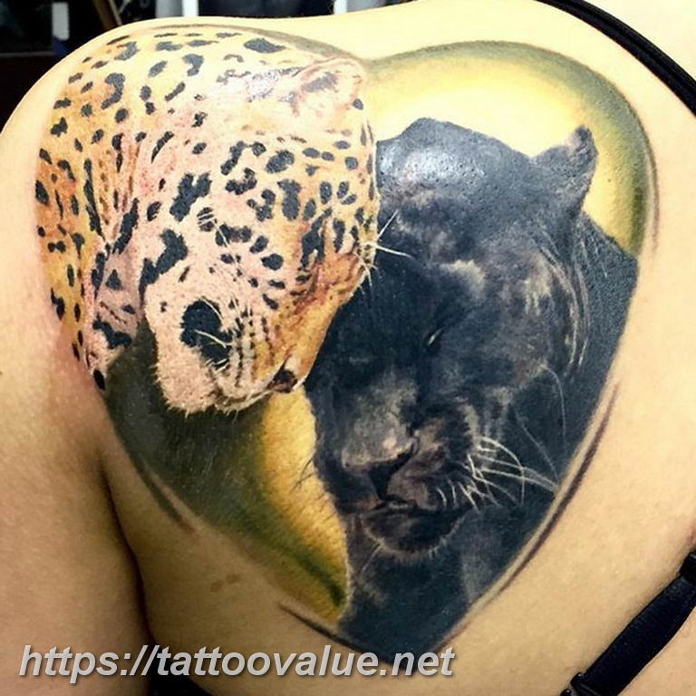 Photo tattoo cheetah 22.01.2019 №260 - tattoo cheetah example of drawing - tattoovalue.net