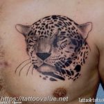 Photo tattoo cheetah 22.01.2019 №261 - tattoo cheetah example of drawing - tattoovalue.net