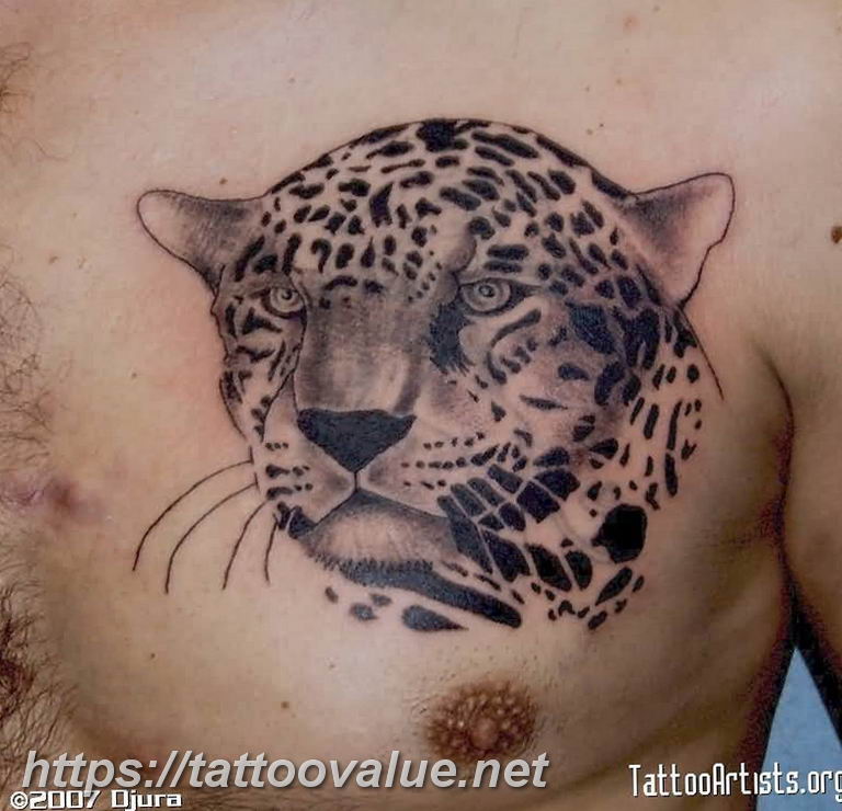 Photo tattoo cheetah 22.01.2019 №261 - tattoo cheetah example of drawing - tattoovalue.net