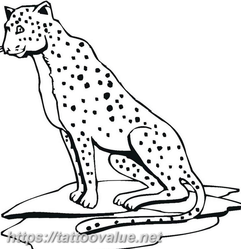 Photo tattoo cheetah 22.01.2019 №266 - tattoo cheetah example of drawing - tattoovalue.net