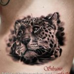 Photo tattoo cheetah 22.01.2019 №271 - tattoo cheetah example of drawing - tattoovalue.net