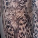 Photo tattoo cheetah 22.01.2019 №275 - tattoo cheetah example of drawing - tattoovalue.net