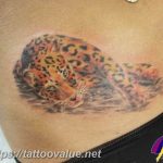 Photo tattoo cheetah 22.01.2019 №283 - tattoo cheetah example of drawing - tattoovalue.net