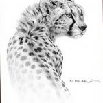 Photo tattoo cheetah 22.01.2019 №284 - tattoo cheetah example of drawing - tattoovalue.net