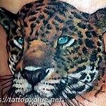 Photo tattoo cheetah 22.01.2019 №288 - tattoo cheetah example of drawing - tattoovalue.net