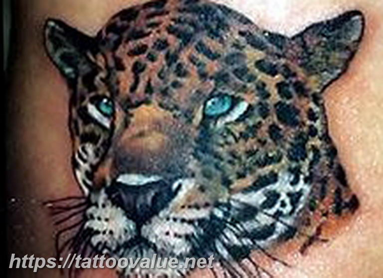 Photo tattoo cheetah 22.01.2019 №288 - tattoo cheetah example of drawing - tattoovalue.net