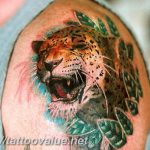 Photo tattoo cheetah 22.01.2019 №289 - tattoo cheetah example of drawing - tattoovalue.net