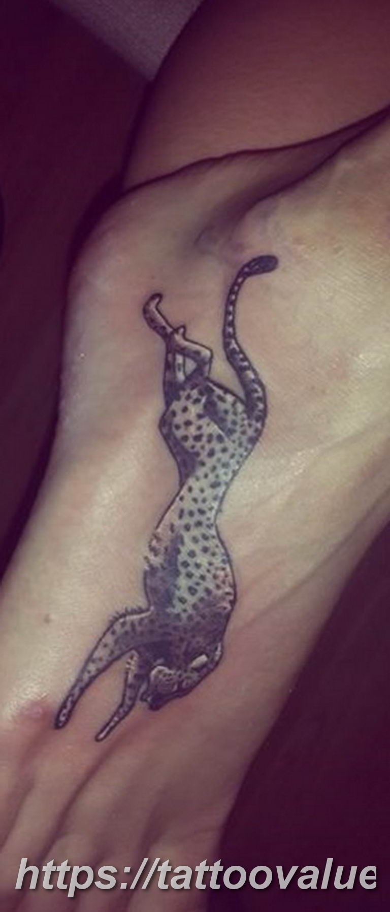 Photo tattoo cheetah 22.01.2019 №290 - tattoo cheetah example of drawing - tattoovalue.net