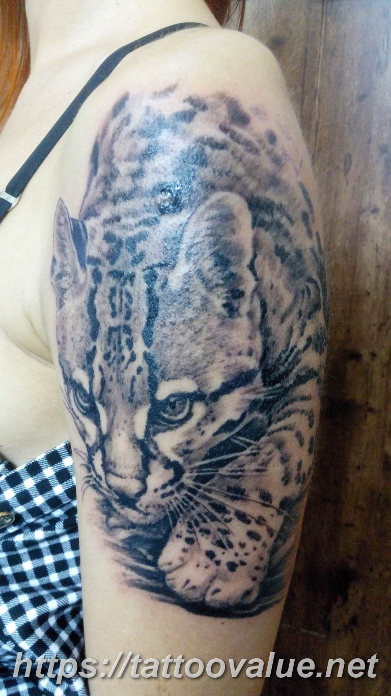 Photo tattoo cheetah 22.01.2019 №291 - tattoo cheetah example of drawing - tattoovalue.net
