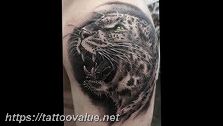 Photo tattoo cheetah 22.01.2019 №292 - tattoo cheetah example of drawing - tattoovalue.net