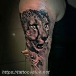 Realistic black and grey cheetah head tattoo on the forearm, with a subtle rose detail at the bottom, showcasing a blend of wildlife and floral art.