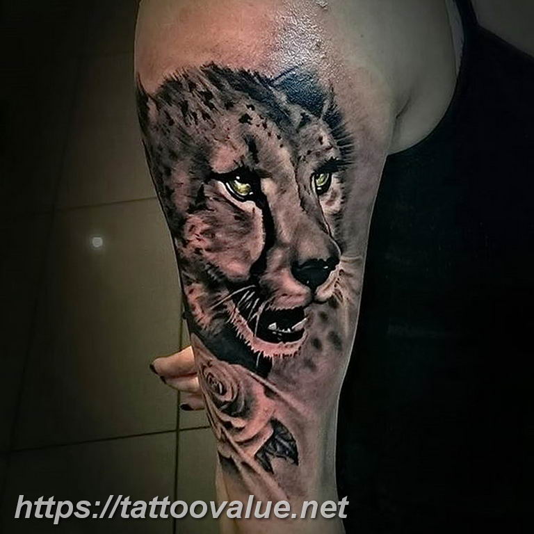 Photo tattoo cheetah 22.01.2019 №303 - tattoo cheetah example of drawing - tattoovalue.net