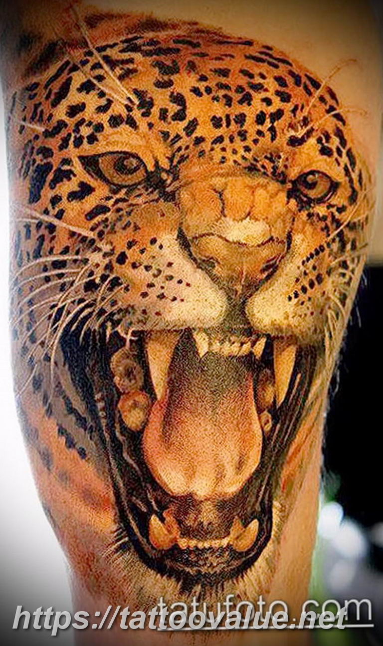 Photo tattoo cheetah 22.01.2019 №308 - tattoo cheetah example of drawing - tattoovalue.net