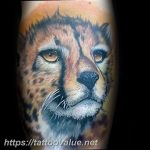 Photo tattoo cheetah 22.01.2019 №311 - tattoo cheetah example of drawing - tattoovalue.net