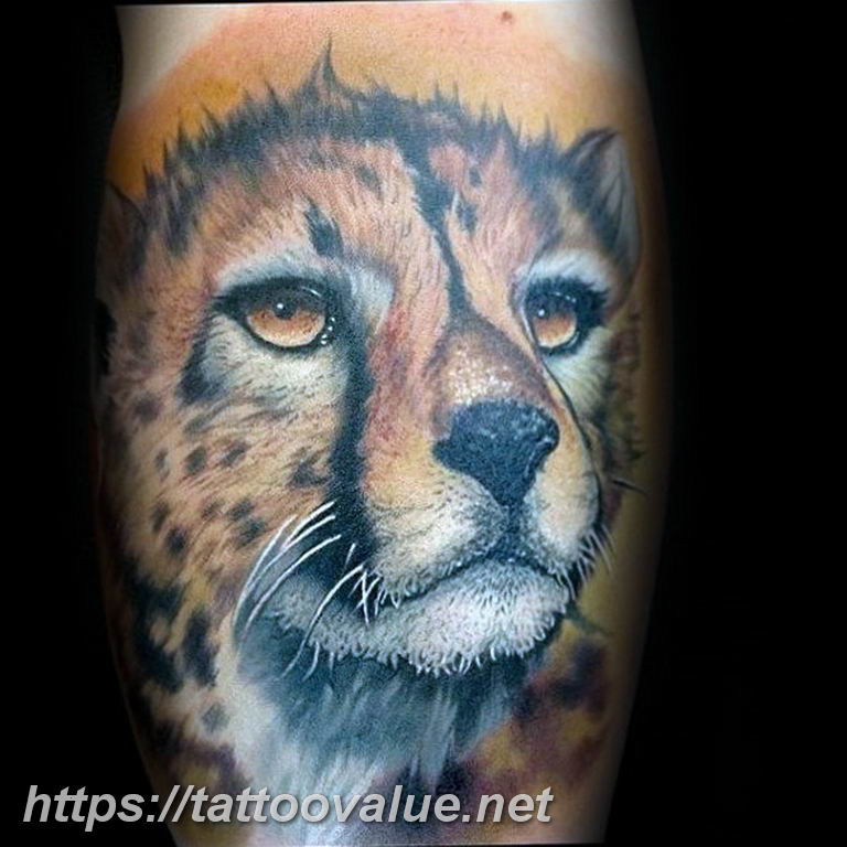 Photo tattoo cheetah 22.01.2019 №311 - tattoo cheetah example of drawing - tattoovalue.net