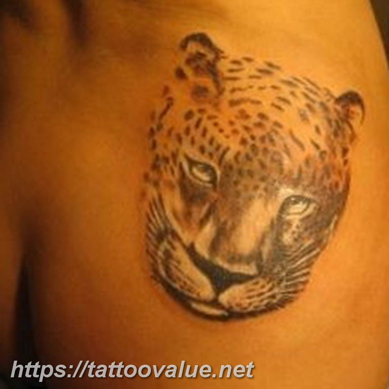 Photo tattoo cheetah 22.01.2019 №315 - tattoo cheetah example of drawing - tattoovalue.net