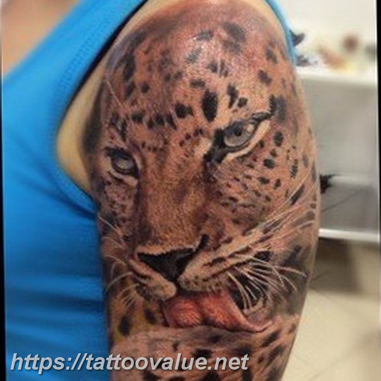 Photo tattoo cheetah 22.01.2019 №316 - tattoo cheetah example of drawing - tattoovalue.net