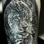 Black and grey realism snow leopard head tattoo on a forearm, featuring intense eyes, detailed fur, and a powerful, regal expression.