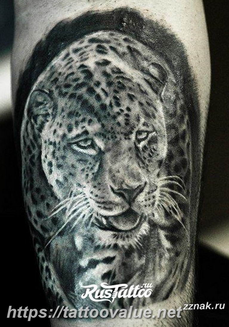 Photo tattoo cheetah 22.01.2019 №320 - tattoo cheetah example of drawing - tattoovalue.net