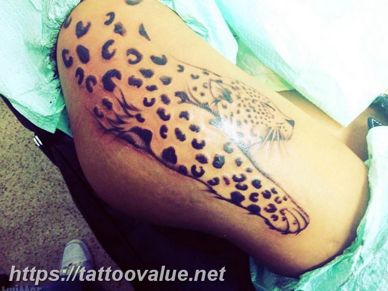 Photo tattoo cheetah 22.01.2019 №321 - tattoo cheetah example of drawing - tattoovalue.net