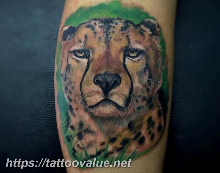 Photo tattoo cheetah 22.01.2019 №323 - tattoo cheetah example of drawing - tattoovalue.net