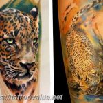 Photo tattoo cheetah 22.01.2019 №332 - tattoo cheetah example of drawing - tattoovalue.net