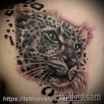 Photo tattoo cheetah 22.01.2019 №334 - tattoo cheetah example of drawing - tattoovalue.net