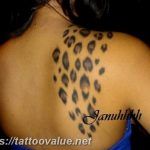 Photo tattoo cheetah 22.01.2019 №335 - tattoo cheetah example of drawing - tattoovalue.net