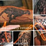 Photo tattoo cheetah 22.01.2019 №340 - tattoo cheetah example of drawing - tattoovalue.net