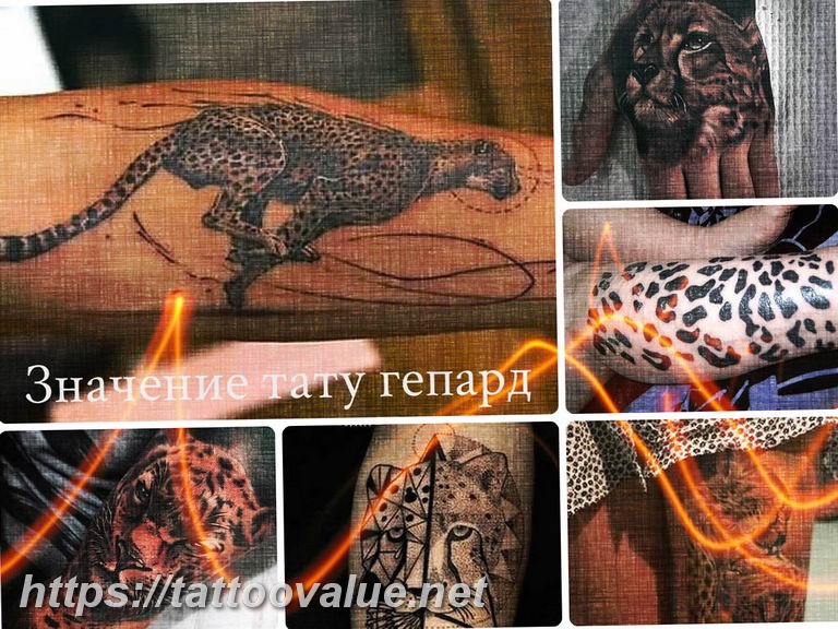 Photo tattoo cheetah 22.01.2019 №340 - tattoo cheetah example of drawing - tattoovalue.net