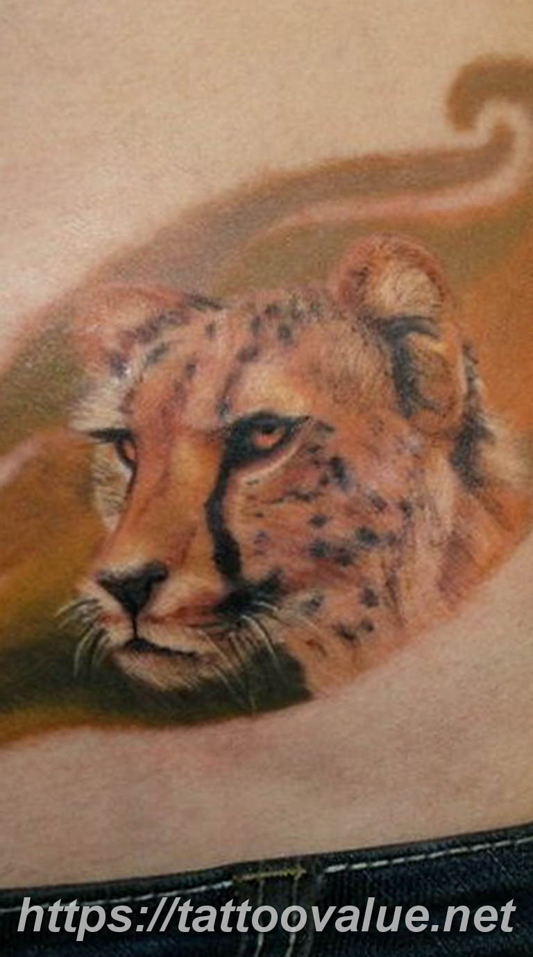 Photo tattoo cheetah 22.01.2019 №343 - tattoo cheetah example of drawing - tattoovalue.net