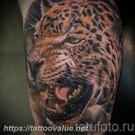 Photo tattoo cheetah 22.01.2019 №349 - tattoo cheetah example of drawing - tattoovalue.net