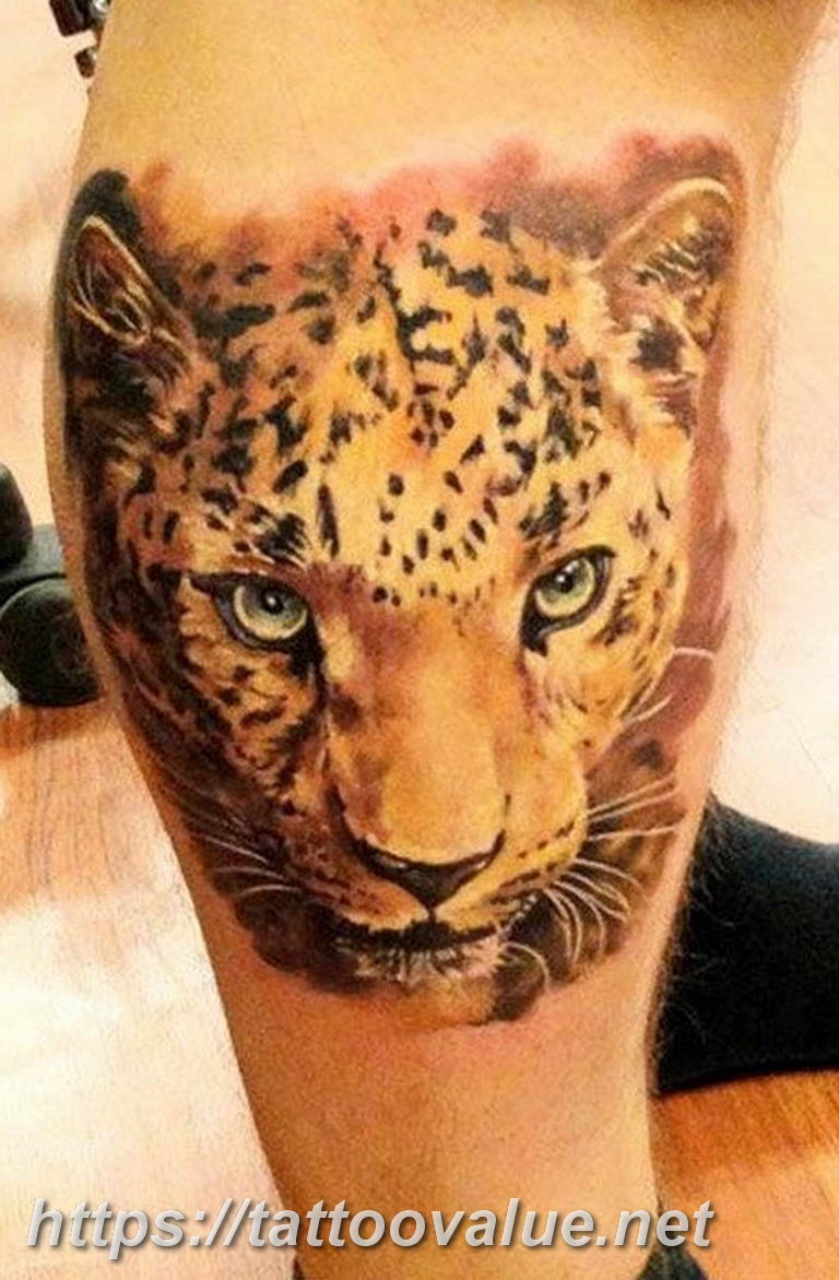 Photo tattoo cheetah 22.01.2019 №351 - tattoo cheetah example of drawing - tattoovalue.net