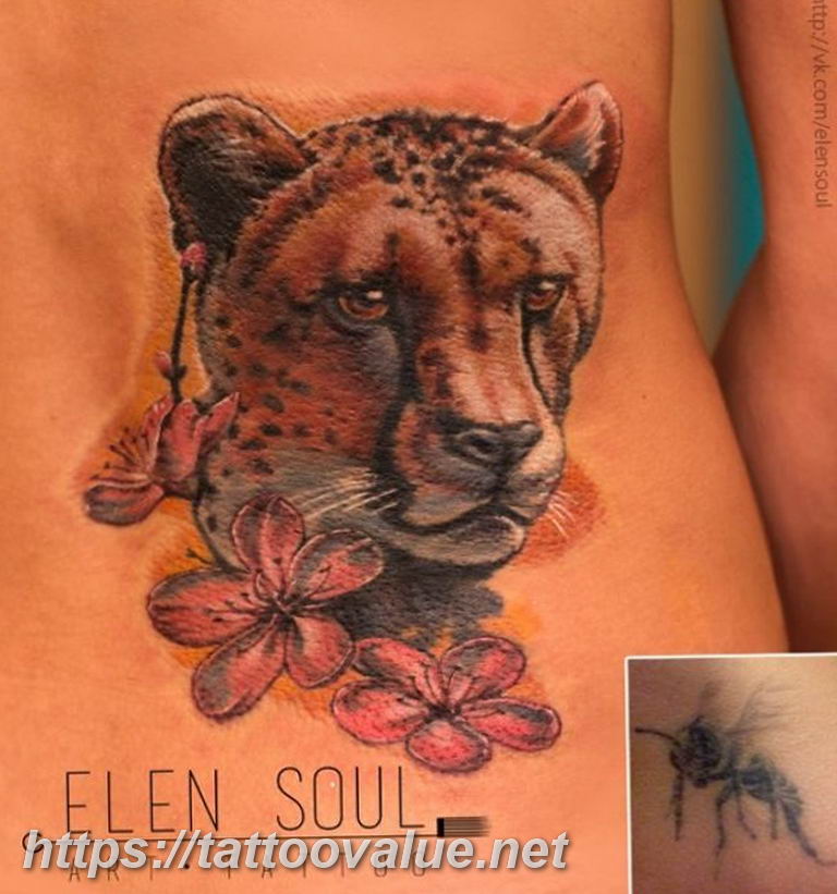 Photo tattoo cheetah 22.01.2019 №354 - tattoo cheetah example of drawing - tattoovalue.net