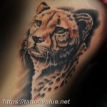 Photo tattoo cheetah 22.01.2019 №357 - tattoo cheetah example of drawing - tattoovalue.net