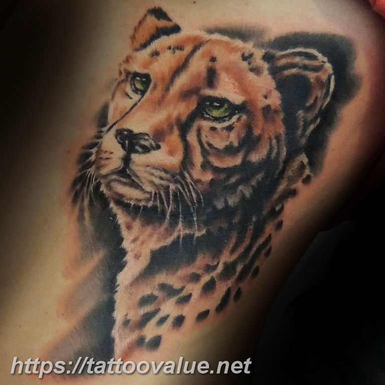 Photo tattoo cheetah 22.01.2019 №357 - tattoo cheetah example of drawing - tattoovalue.net
