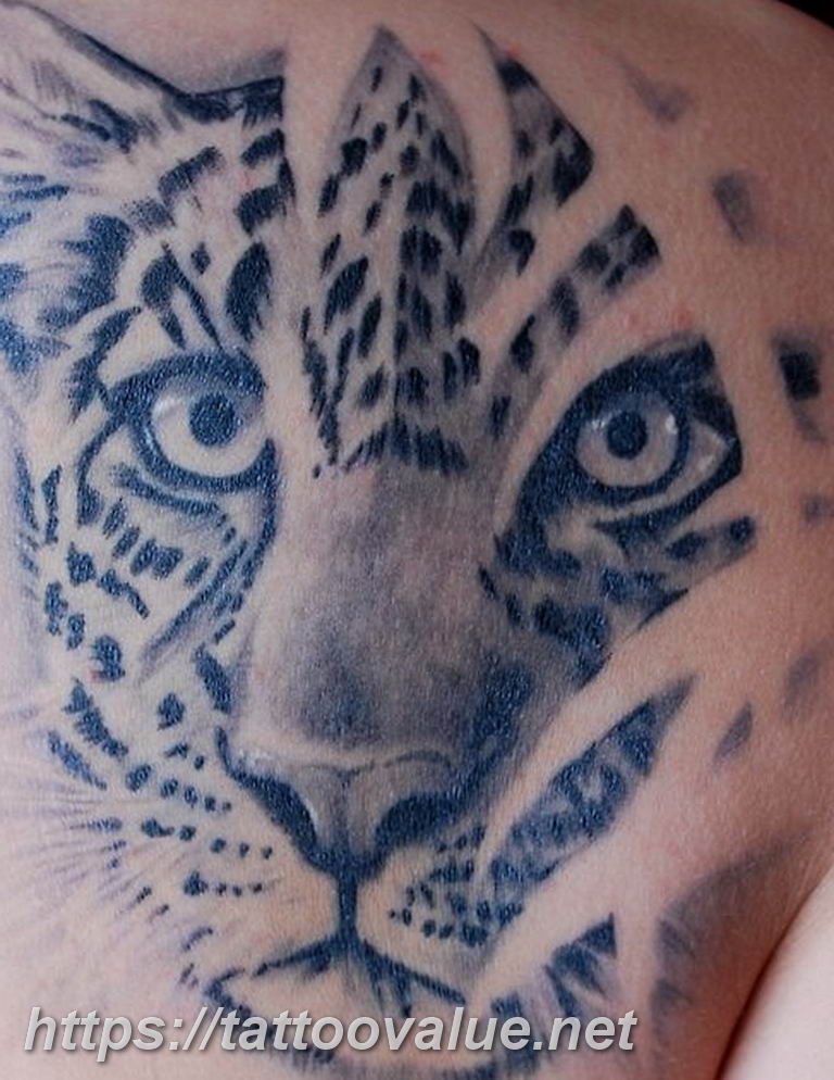 Photo tattoo cheetah 22.01.2019 №360 - tattoo cheetah example of drawing - tattoovalue.net