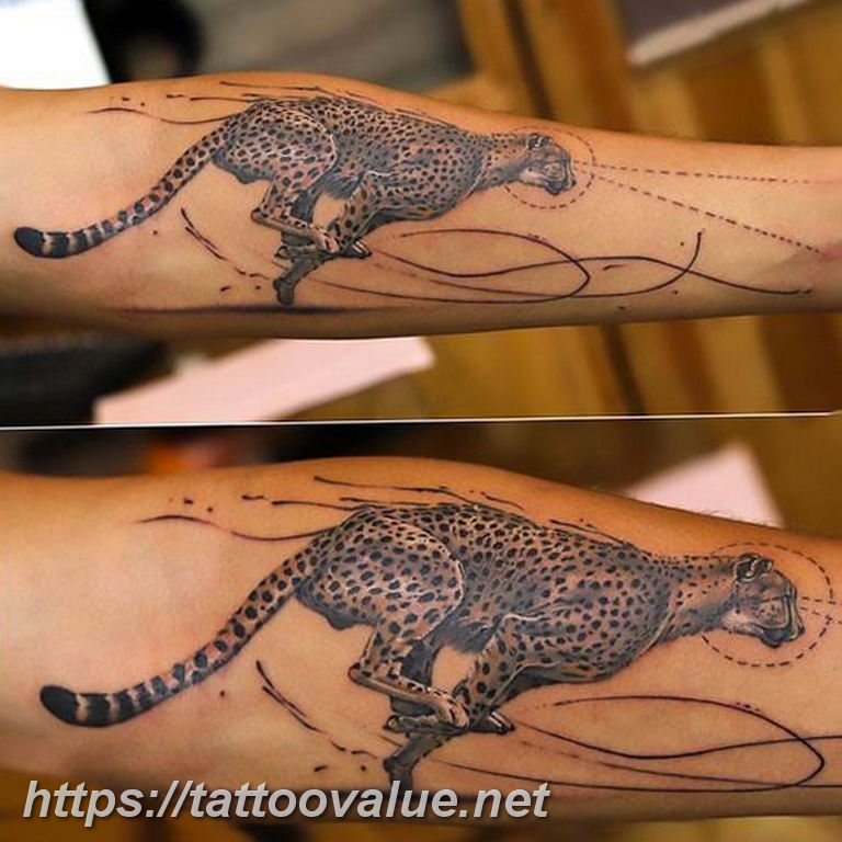 Photo tattoo cheetah 22.01.2019 №364 - tattoo cheetah example of drawing - tattoovalue.net