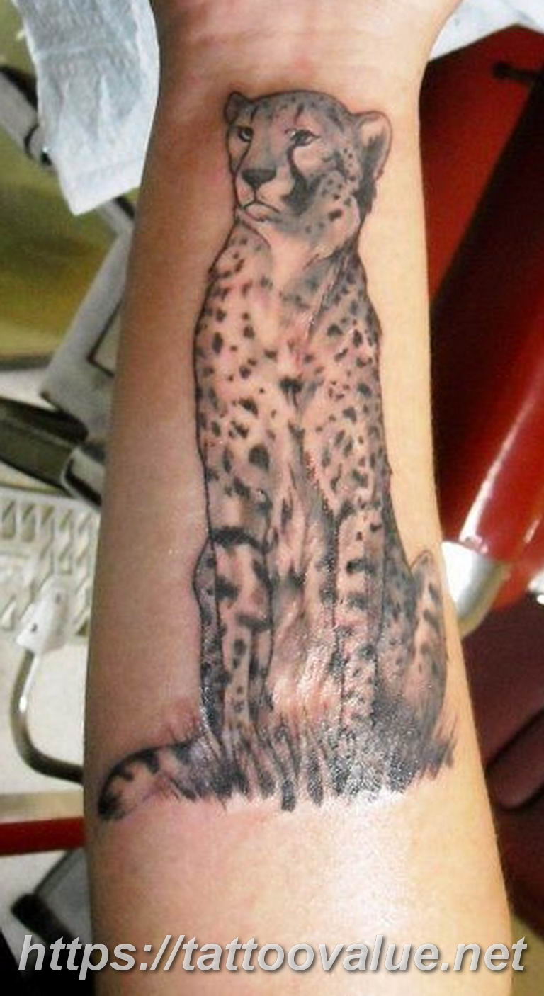 Photo tattoo cheetah 22.01.2019 №366 - tattoo cheetah example of drawing - tattoovalue.net