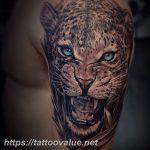 Hyperrealistic leopard head tattoo on the shoulder, featuring piercing blue eyes and detailed fur. Black and grey realism style.