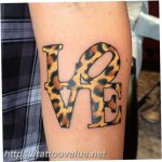 Photo tattoo cheetah 22.01.2019 №382 - tattoo cheetah example of drawing - tattoovalue.net