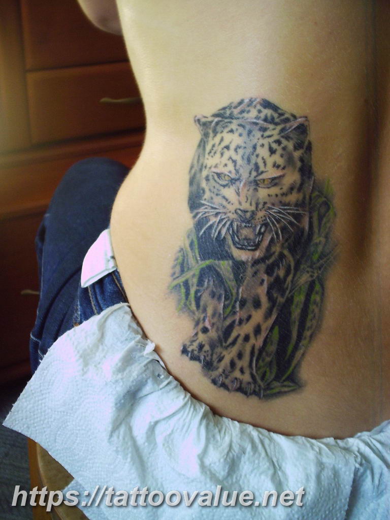 Photo tattoo cheetah 22.01.2019 №383 - tattoo cheetah example of drawing - tattoovalue.net